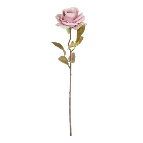 ROSA CORVETTE LAVANDA CM.50